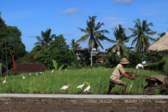 Ubud
