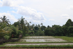 Ubud