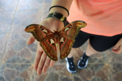 Tabanan