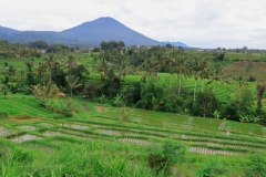 Tabanan